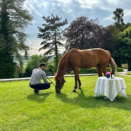 Bed & Breakfast Domaine Du Chesney, Et Maisons De Charme Pressagny l'Orgueilleux