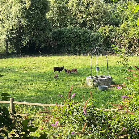 Domaine Du Chesney بيت للعطل Pressagny-lʼOrgeuilleux